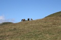 (152) Rando au Lac d'Aestens
